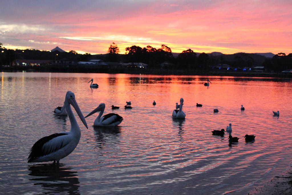 Holiday Haven Burrill Lake Exteriör bild